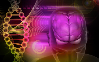 Illustration for article titled Here's how Obama's brain mapping project will actually work